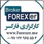 Forex Er5 Profile Picture