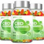 Green Vibe CBD Gummies Reviews Profile Picture