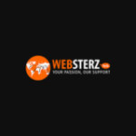 Websterz Technologies Profile Picture