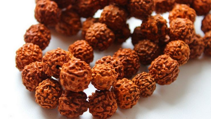 How To Use Rudraksha Beads For Your Energy Alignment