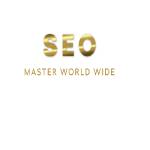seo master Profile Picture