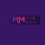 Mesh Media for web-design Profile Picture