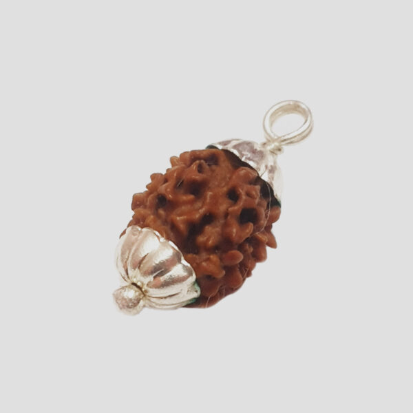 The Cultural Significance of Rudraksha Beads in Different Regions