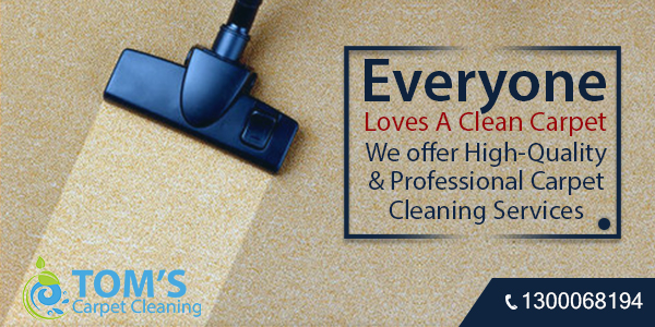 Same Day Carpet Cleaning South Yarra | Stain Removal | Rug Cleaning