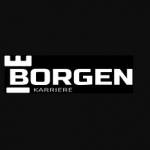 Borgen Karriere Profile Picture