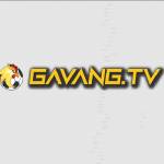 Gavang tv Profile Picture
