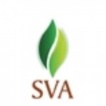 SVA Profile Picture