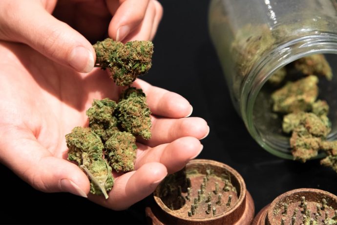 #1 Online Weed Dispensary in Canada To Buy Weed Online