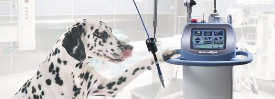 Boulevard Animal Hospital Profile Picture