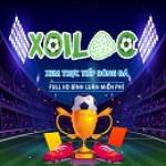 bongda xoilac86 Profile Picture