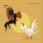 thomohomnay TRỰC TIẾP ĐÁ GÀ Profile Picture
