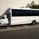 bustour Profile Picture