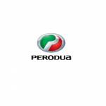 Perodua Profile Picture