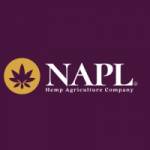 Nap limited Profile Picture