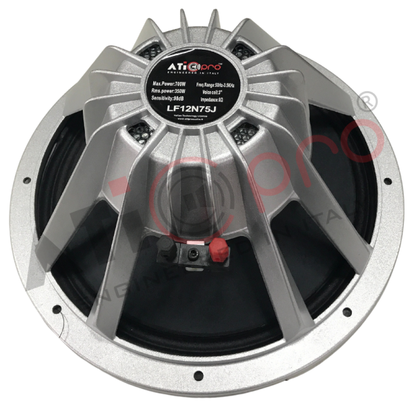 Powerful 12 Inch DJ Speaker for Dynamic Sound