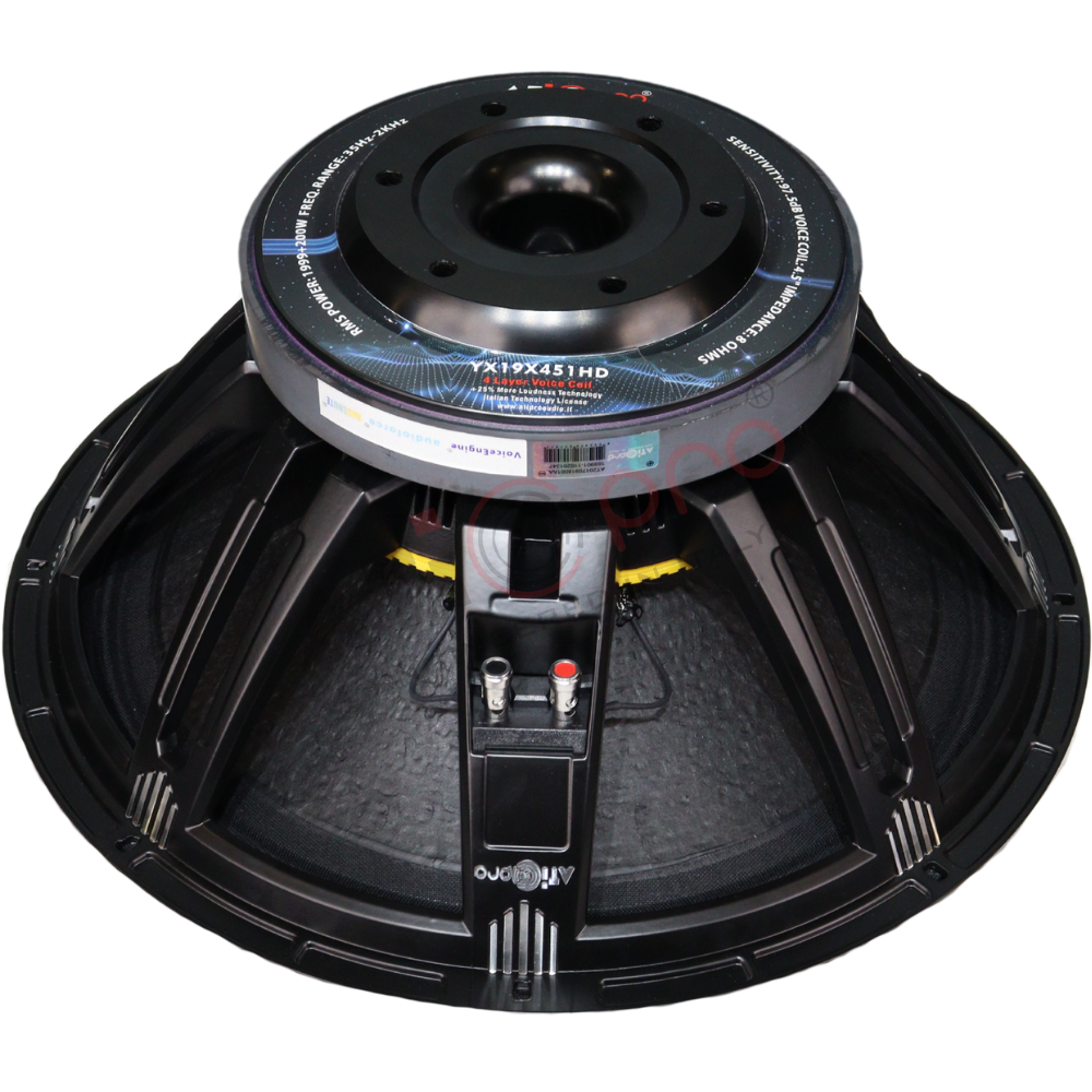 Ferrite DJ Speaker 19 Inch 1999 Plus 200 Watt Model YX19X451HD