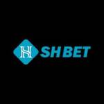 shbet foo Profile Picture