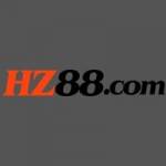 hz88combr Profile Picture