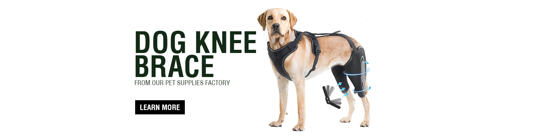 Custom Dog Knee Brace Manufacturer | Wholesale Canine Stifle Brace for Dogs