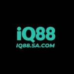 IQ88 Com Profile Picture