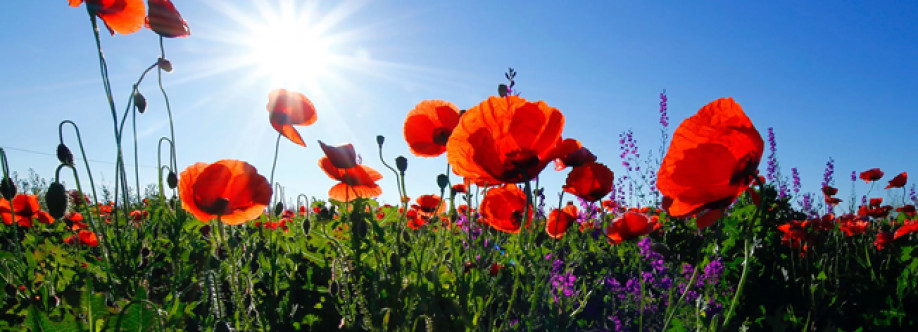 Dr Nudman Psychiatrist Cover Image