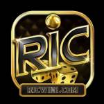 ricwin com Profile Picture