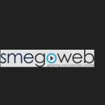 smegoweb65 Profile Picture