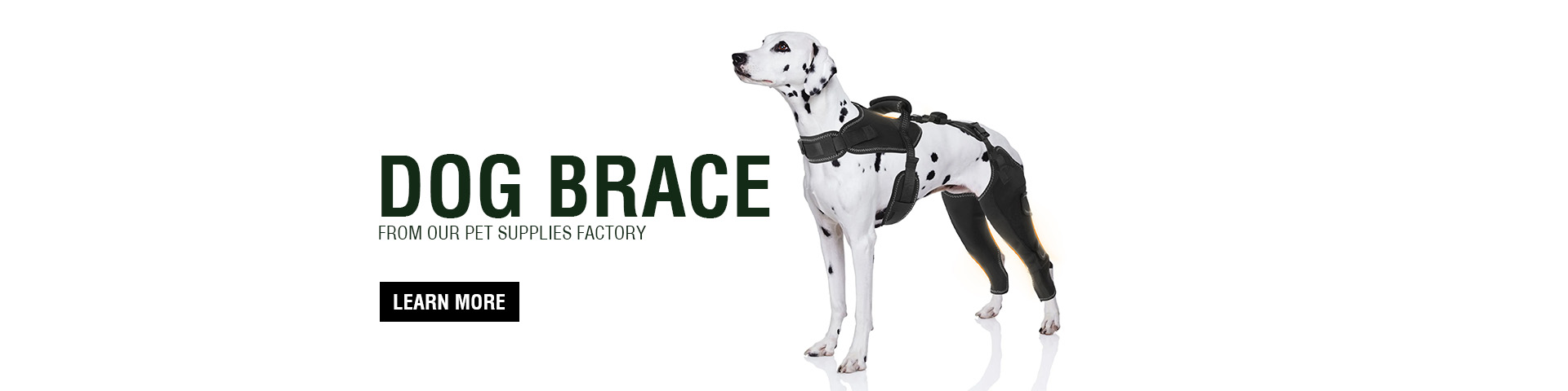 Custom Dog Braces Manufacturer | professional canine braces supplier