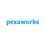 Pexaworks AI-first software development co Profile Picture
