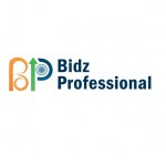 Bidz Professional Profile Picture