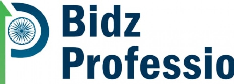Bidz Professional Cover Image