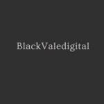 Black Vale Digital Profile Picture