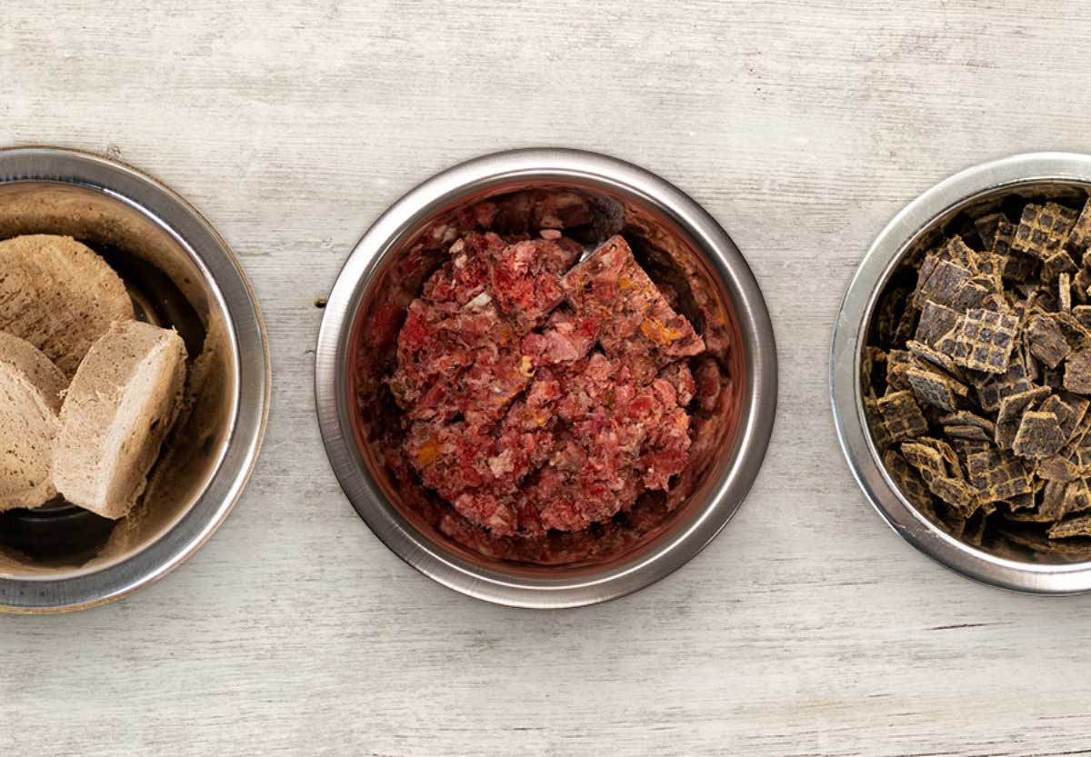 Dog Food for Camping | Best Dog Food Squamish| Best Cat Food Squamish - O’Brien Pet Food Store