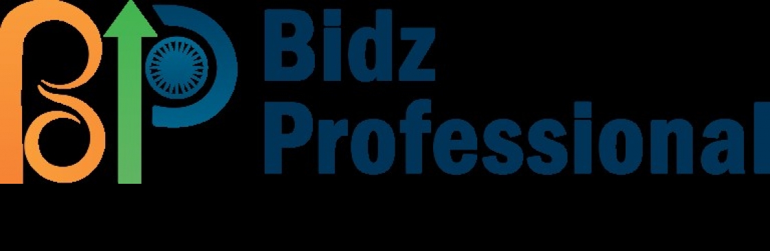 Bidz Professional Cover Image
