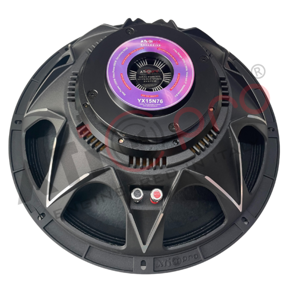 Powerful 15 Inch DJ Speaker for Clear and Dynamic Sound