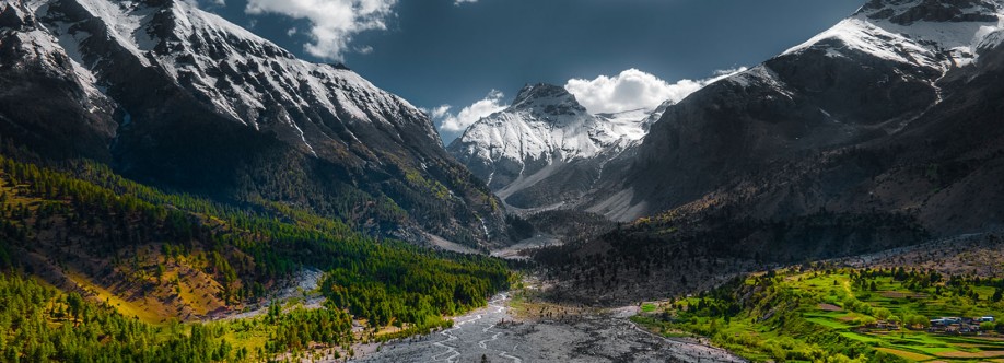 Goldseal Shilajit Profile Picture