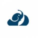 WeWP profile picture