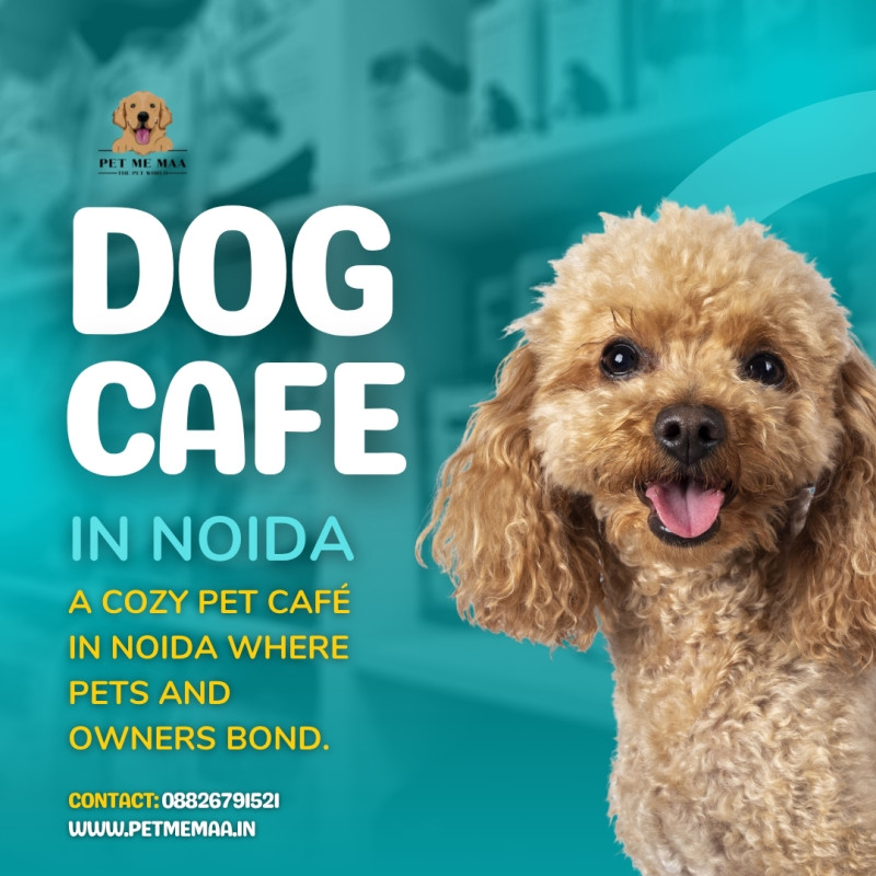 Pet Me Maa – Noida’s Favorite Spot for You and Your Furry Buddy: petmemaa01 — LiveJournal