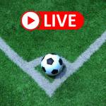 koora live online profile picture