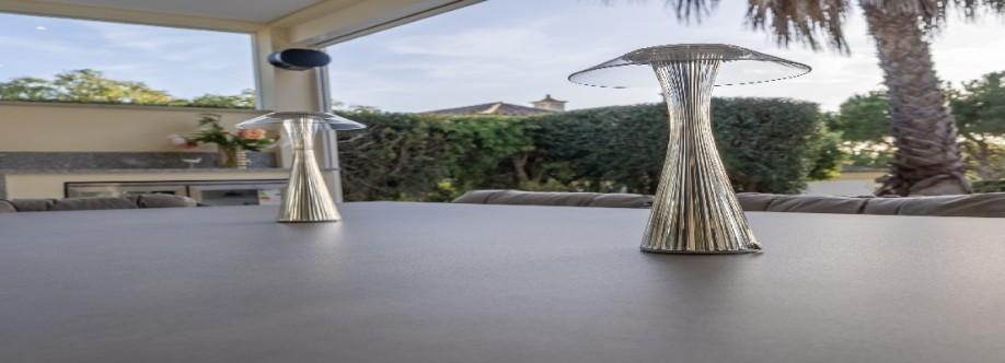 Susana Guerreiro Cover Image