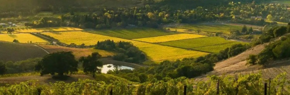 Platypus Tours Cover Image