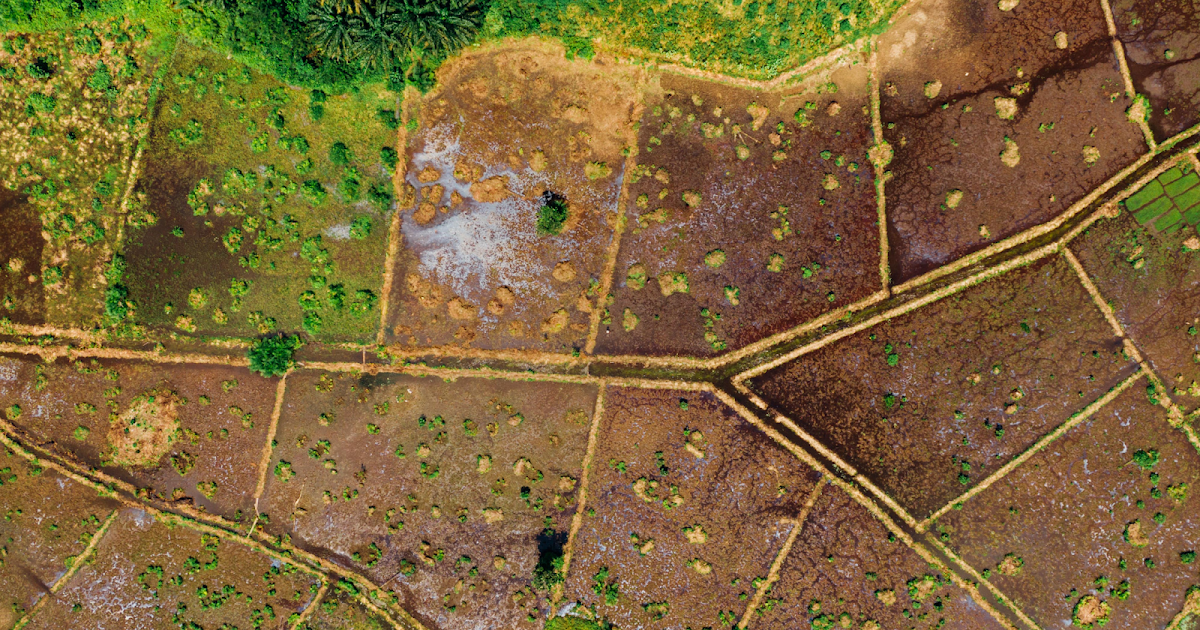 Leadership assets in land acquisition management