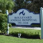 Boulevard Animal Hospital profile picture