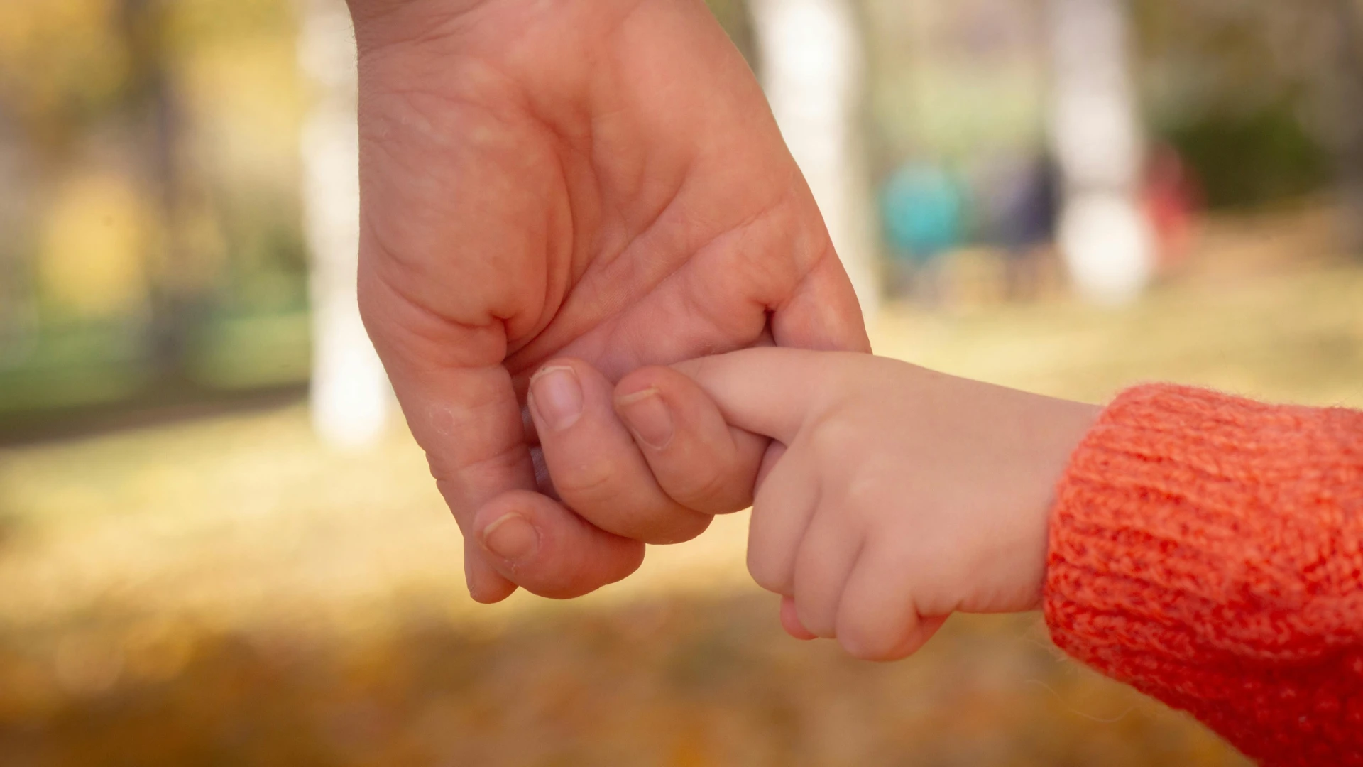 The essential role of foster parents in transforming young lives -  WriteUpCafe