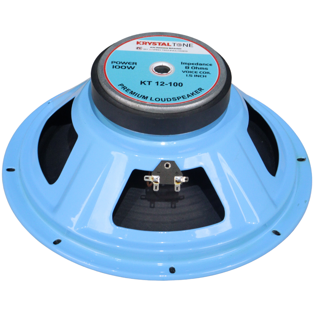 High Quality 12 Inch Ferrite DJ Speaker 100 Watt