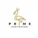 primecartagena Profile Picture