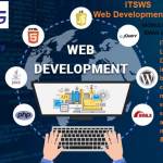 itsws software Profile Picture