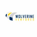 wolverine ventures Profile Picture