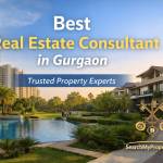 Seacrmyproperty Profile Picture