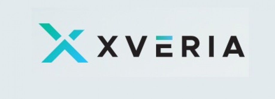 Xveria Digital Marketing Cover Image